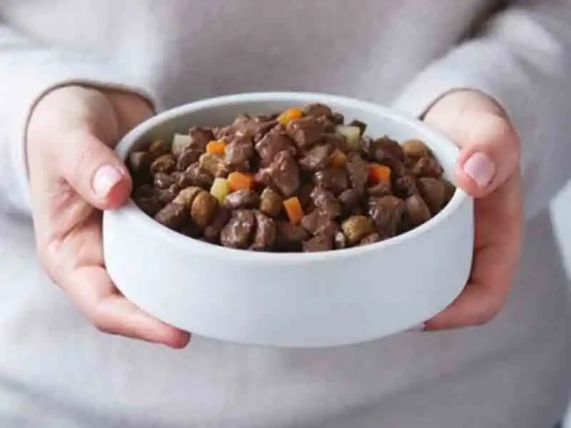 Is it OK to mix wet and dry dog food?